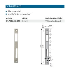 Schlie&szlig;blech 24x3, re./li. verwendbar (V2A)