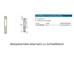Schlie&szlig;blech 24x3, re./li. verwendbar (V2A)
